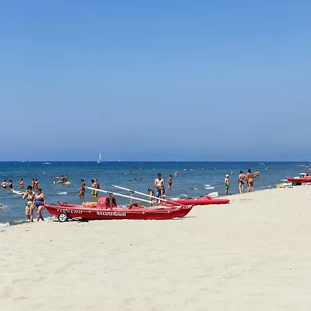 In * Viareggio