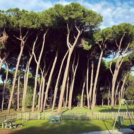 In Viareggio